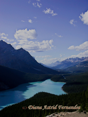 Peyto-Lake-The-Rockies-Alberta-Canada